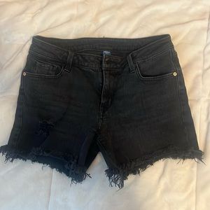 These are black Arizona jean co shorts.